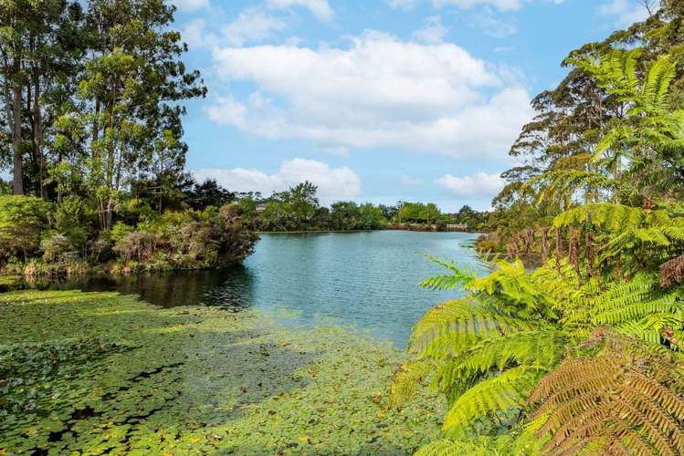 54 Sapperton Drive Henderson_17