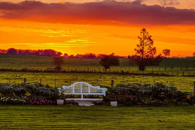 Tranquil Lifestyle in Te Awamutu!