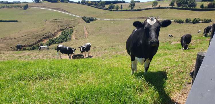 39 Rowe Road Ohauiti_18