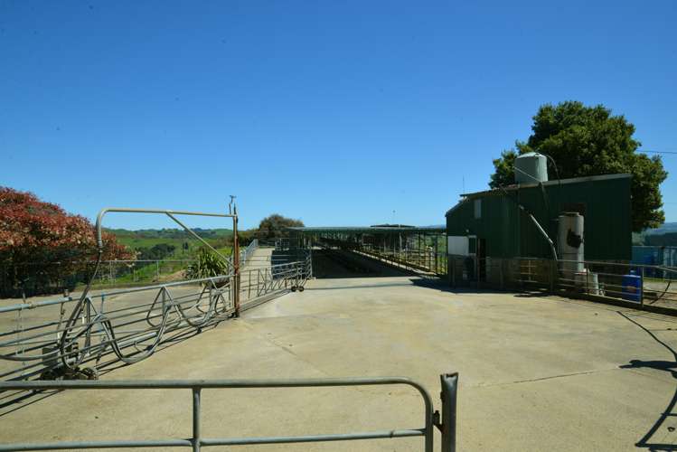 877 Puketawai Road Otorohanga_13