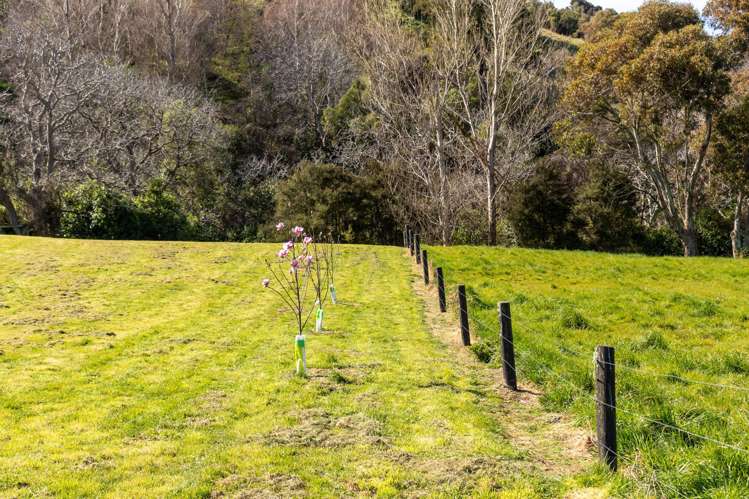 8 Woodills Road Akaroa_9