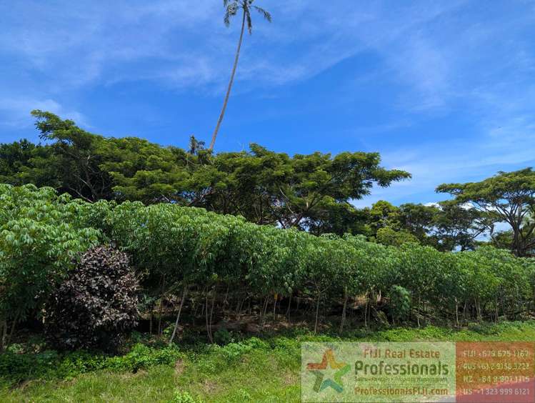 Address withheld Taveuni_11