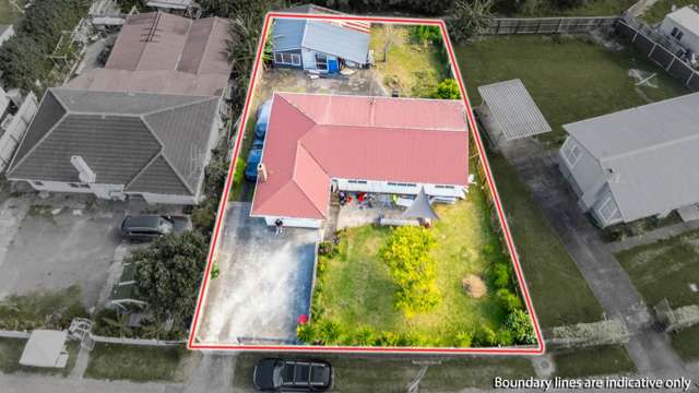 96 Tennessee Avenue Mangere East_2