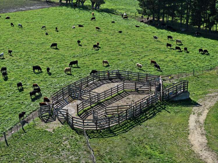 315 Patearoa Ranfurly Road Patearoa_21