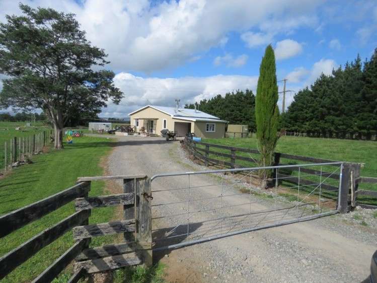 746 Top Grass Road Dannevirke_17