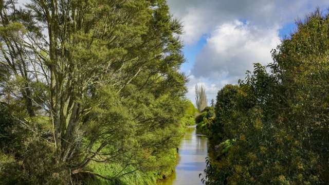 161 Bellevue Road Matangi_4