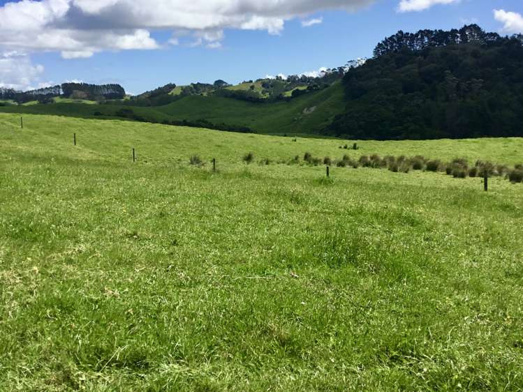 Lot 1/& Lot 5 Wharehine Road_0