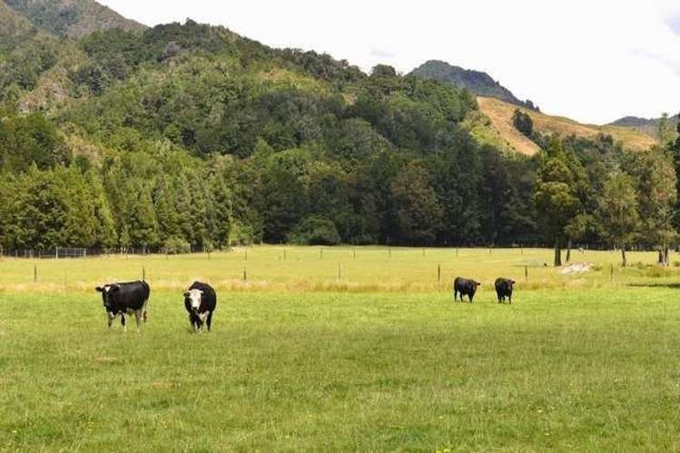 560 Shenandoah Highway Murchison_4