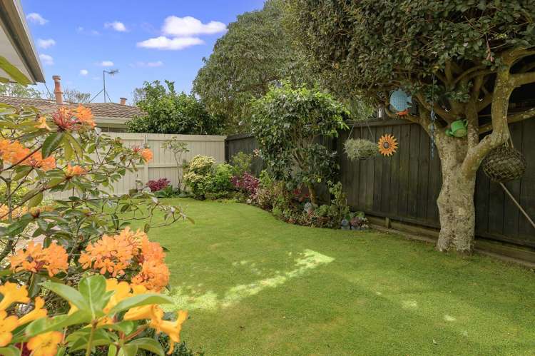 64B Sixteenth Avenue Avenues_15