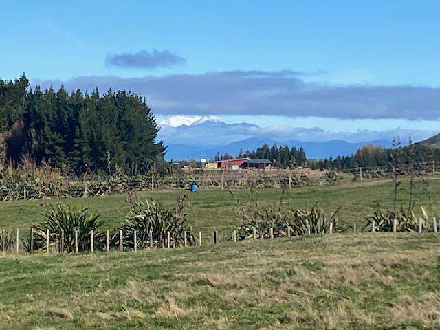 52 Grant Road Kinloch_2