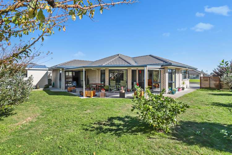 22 Vogel Place Te Aroha_14