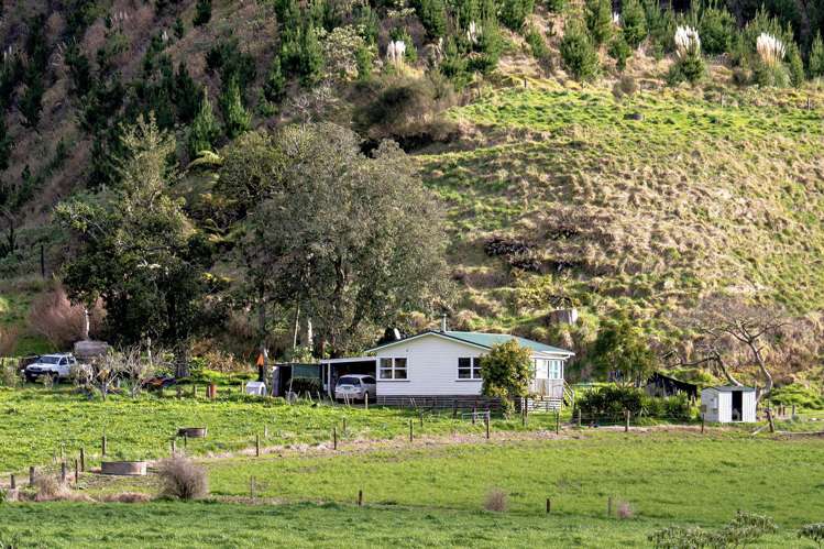 956 Otara Road Opotiki_9