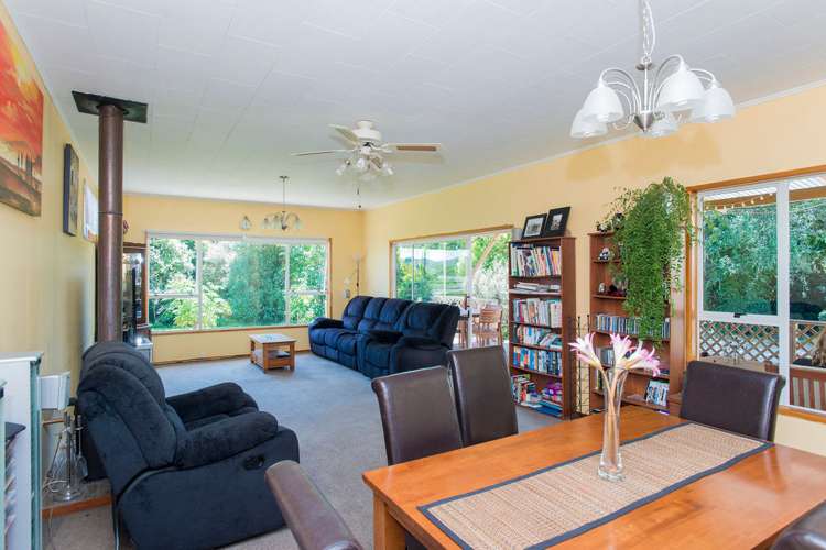 7 Whitmore Road Ormond_5