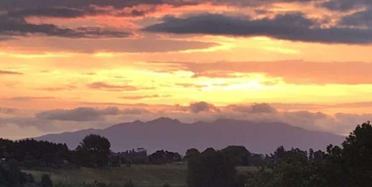 420a Pencarrow Road Tamahere_6