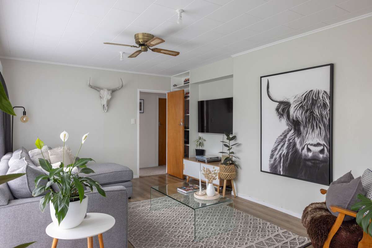 809a Oliphant Road Raureka Hastings Houses for Sale One Roof