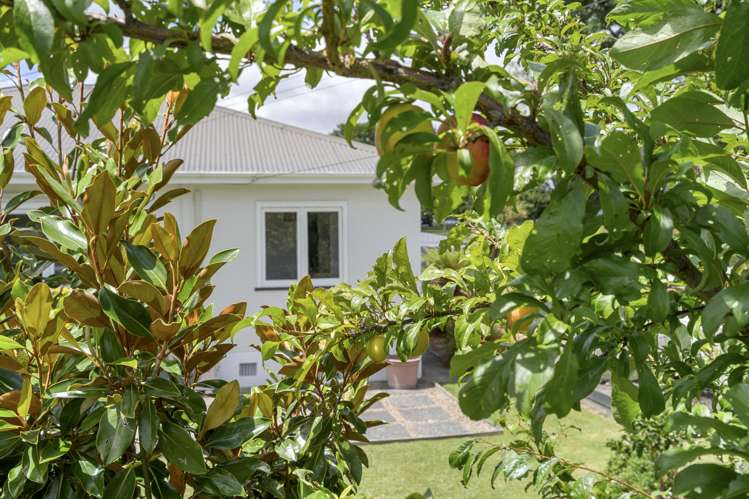 58 Scott Street Cambridge_16