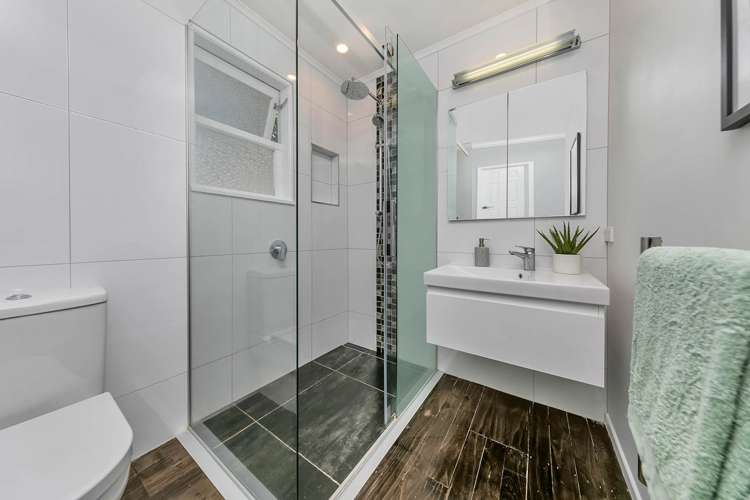 11b Highbury Street Avondale_20