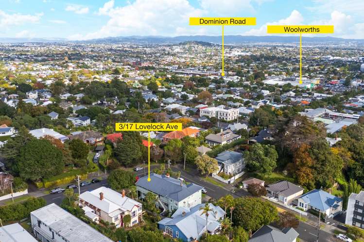 3/17 Lovelock Avenue Mount Eden_26