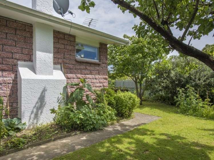 10a Market Street Picton_5