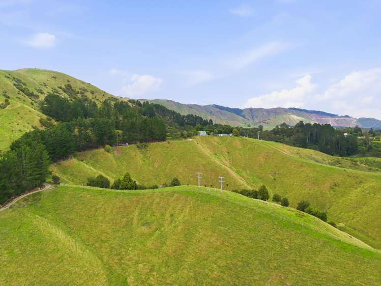 100 Heights Road Shannon_29