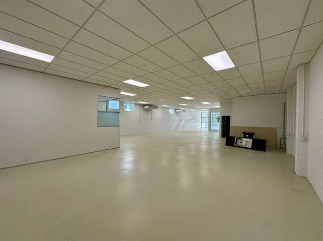 4 Minnie Street Eden Terrace_4
