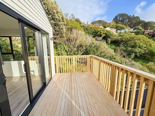 54C Rodrigo Road Kilbirnie_1
