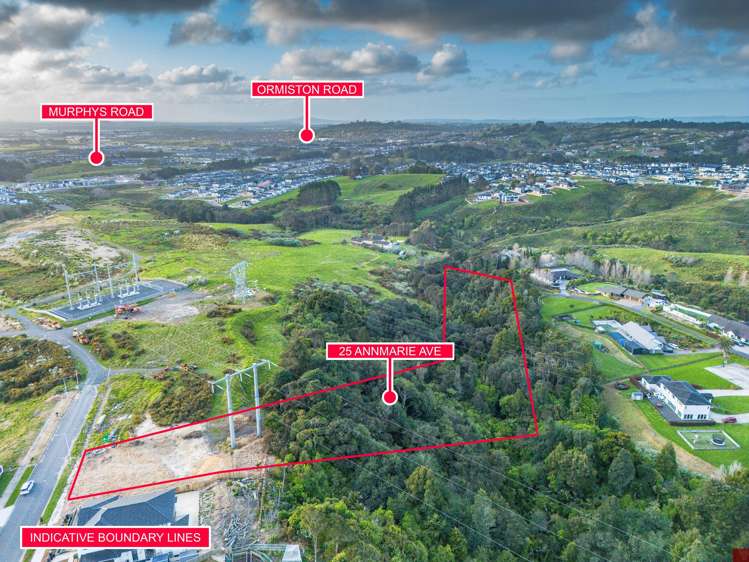 25 Annmarie Avenue Totara Park_1