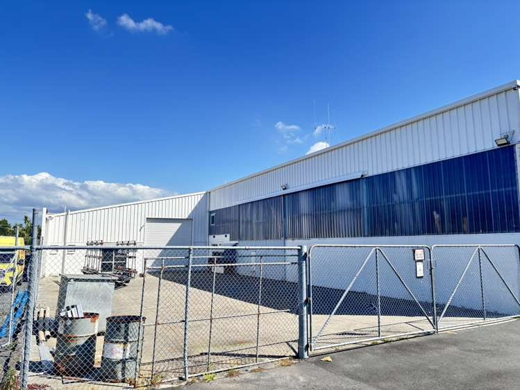 66 Birch Avenue Judea_3