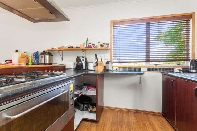 25 Bremner Avenue Mount Roskill_2
