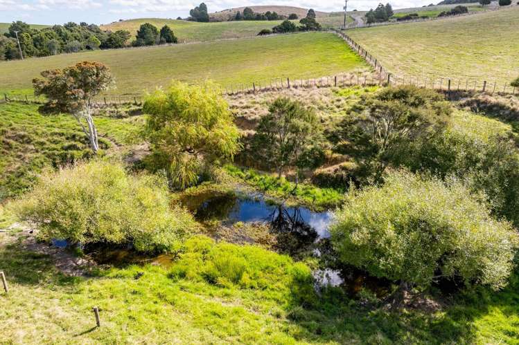 585 Ormiston Road Waipu_22