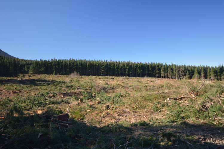 423 Hayland Road Okuku_2