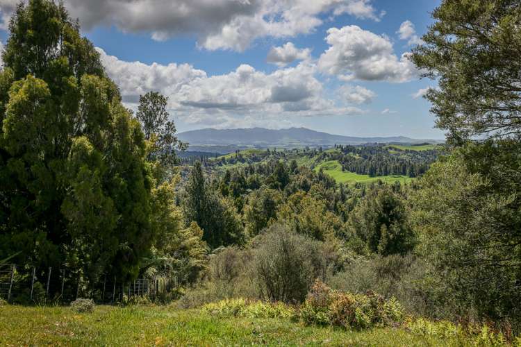 412 Bromley Road Otorohanga_21