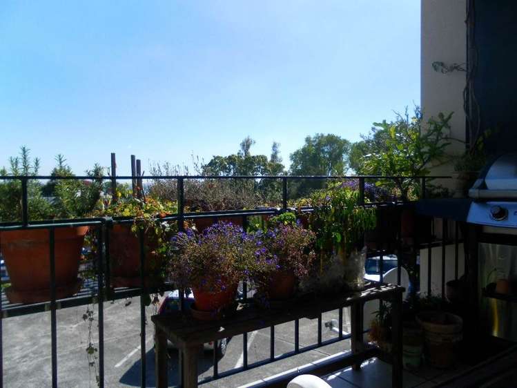 2/258 Parnell Road Parnell_11