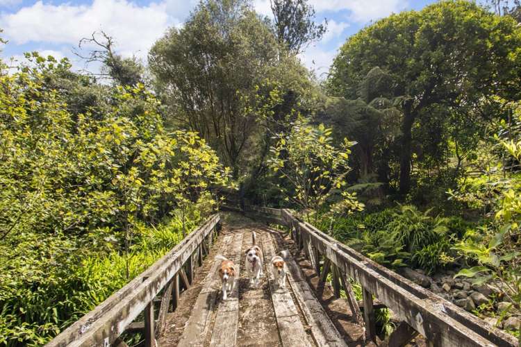 397 Busby Road Hauraki Surrounds_25