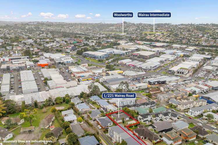 1/221 Wairau Road Totara Vale_20