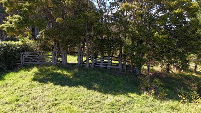 Herekino-Broadwood Road Herekino_4