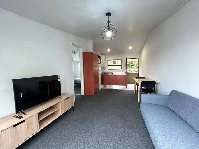 35 Howe Street Freemans Bay_1