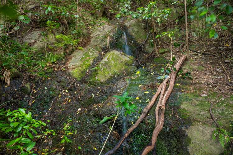 Sec 9 Maraetai Bay Queen Charlotte Sound_6