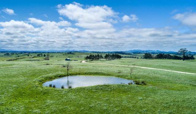 186 ha Dairy Farm Te Kopuru