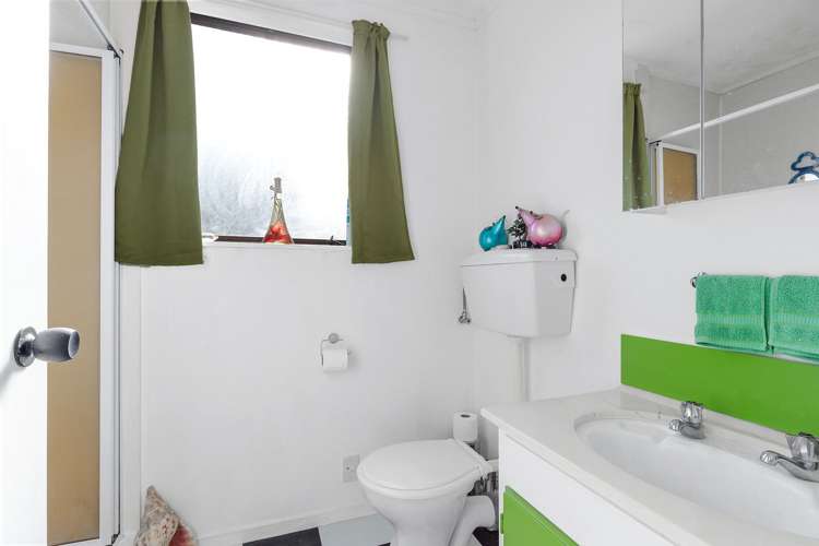 5 Dunlop Crescent Te Aroha_11