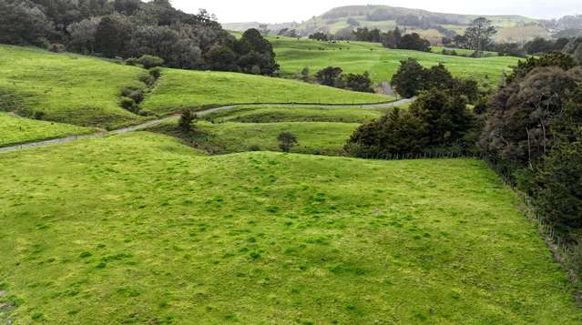 1149 Whangaripo Valley Road Whangaripo_1
