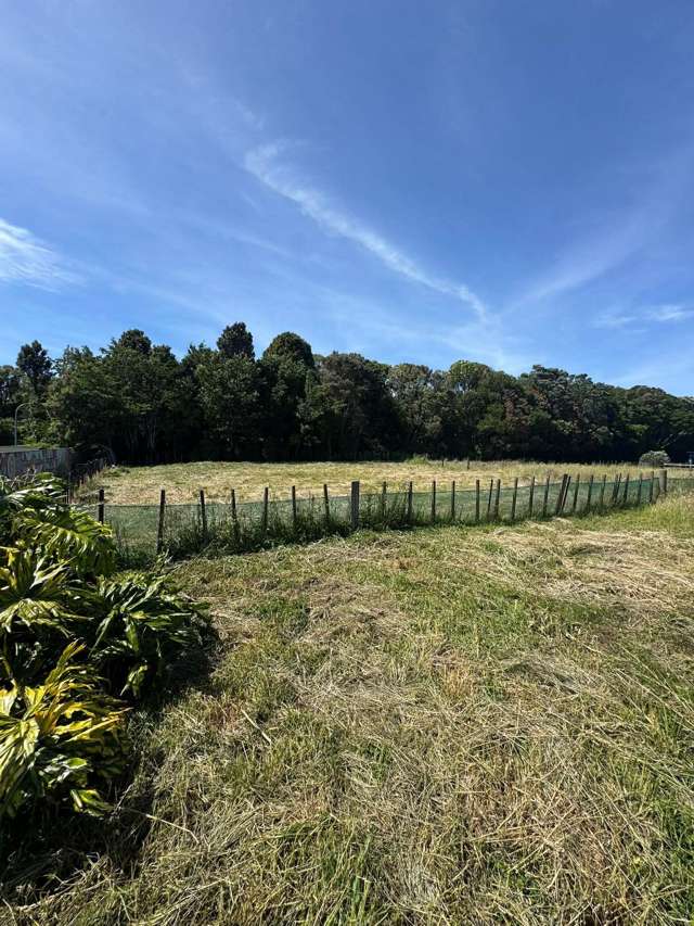 49A Mace Street Waitara_3