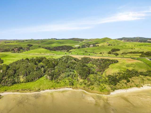 53 Hinamoki Drive Kaiwaka_1