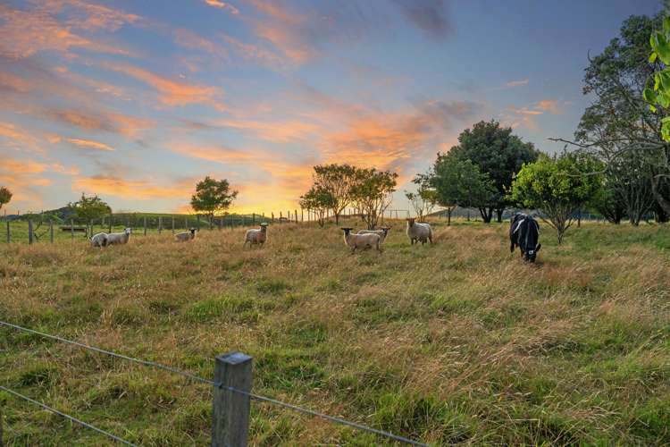 106c Awanuiarangi Road Pikowai_21
