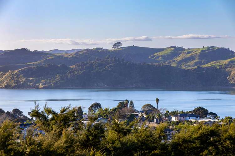 49A Hills Road Raglan_18