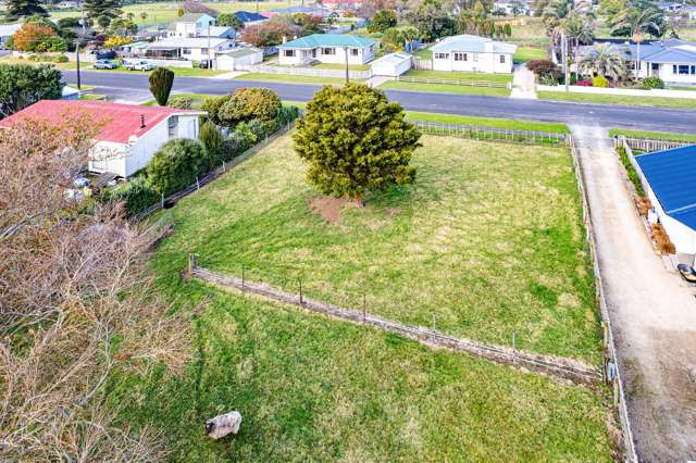 6 Hussey Street Waverley_4