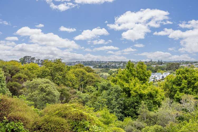 3B Laxon Terrace Remuera_14