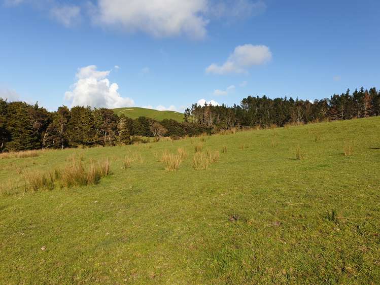 Sterling Road Paparoa_6