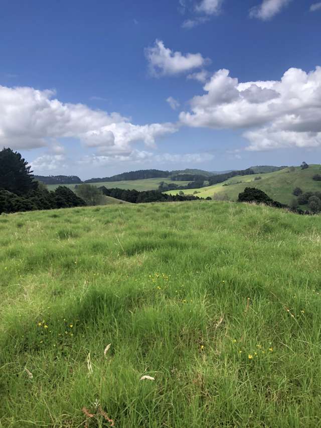 Meander through the Meadows...