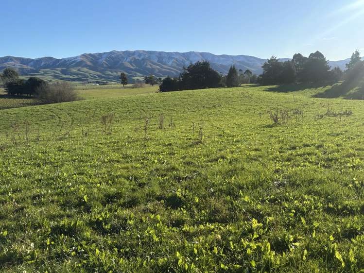 455 Albury Fairlie Road Mackenzie Country_6